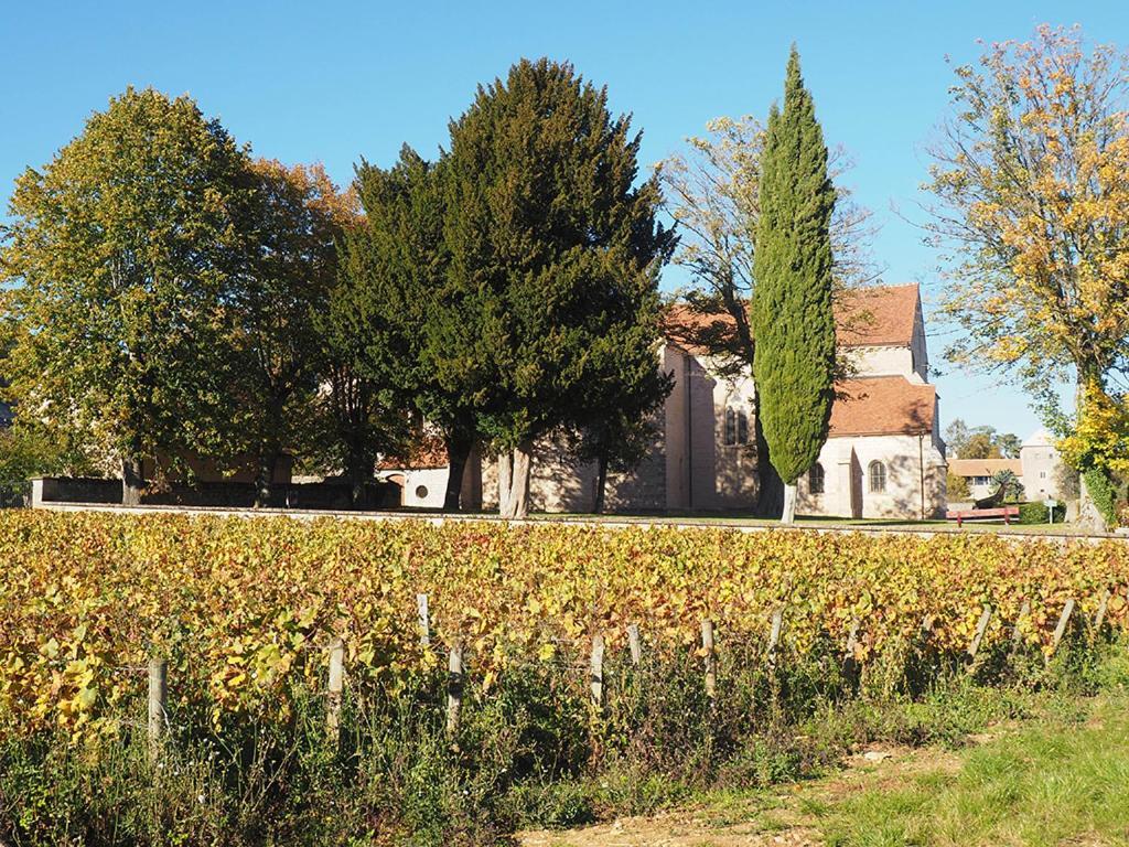 Le Richebourg - Charmant T2 Cosy, tout confort Gevrey-Chambertin Extérieur photo