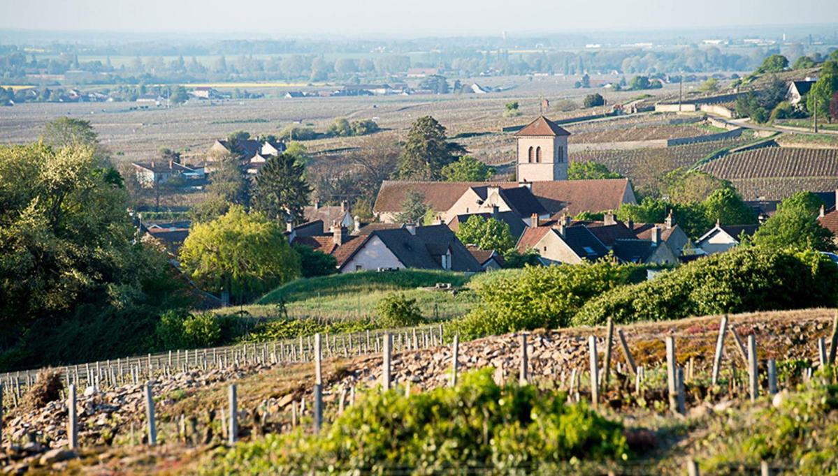 Le Richebourg - Charmant T2 Cosy, tout confort Gevrey-Chambertin Extérieur photo